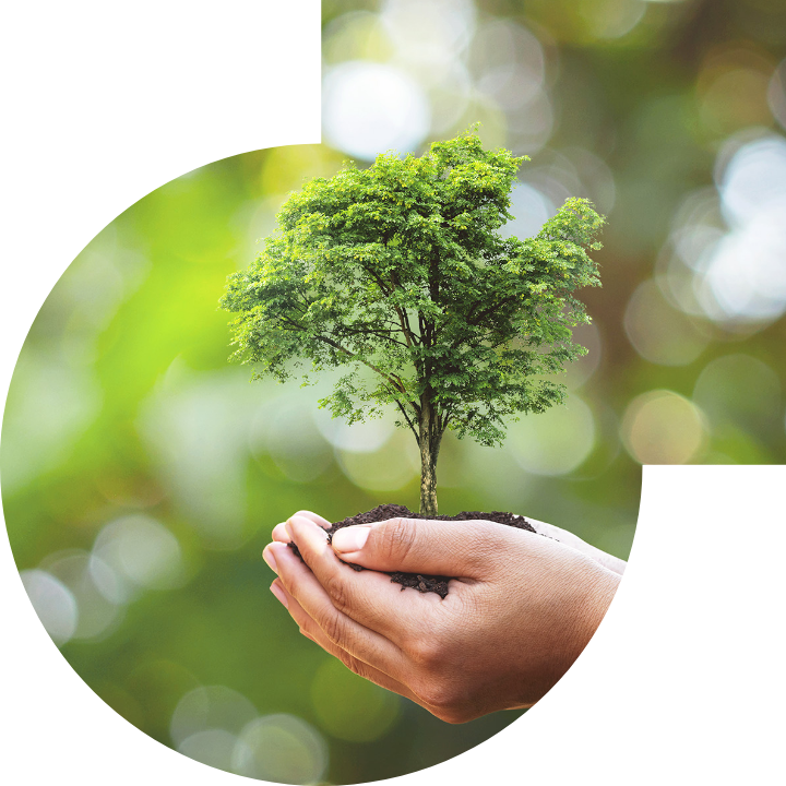 关怀人类、文化、环境与社会